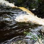 Ingleton Waterfall Trail